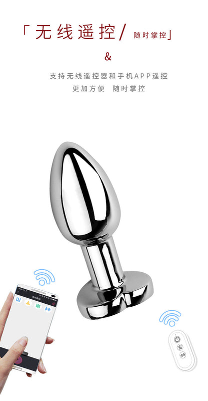 Dual Remote Colorful Heart Light Stainless Steel Anal Plug