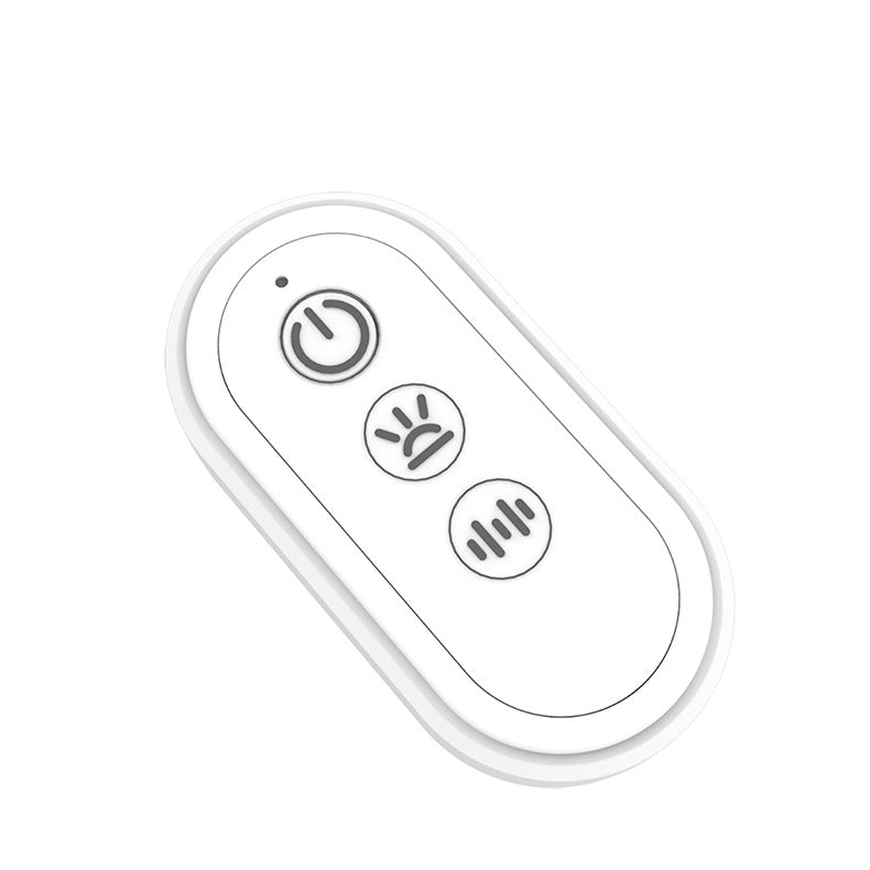 Dual Remote Colorful Heart Light Stainless Steel Anal Plug